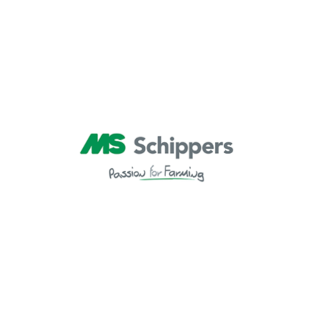 MS Schippers